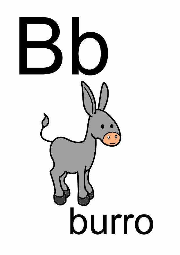 b bilde b