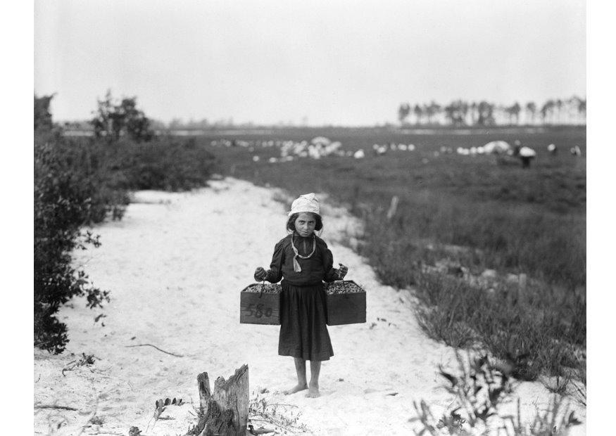 barnearbeid 1910 Foto barnearbeid 1910