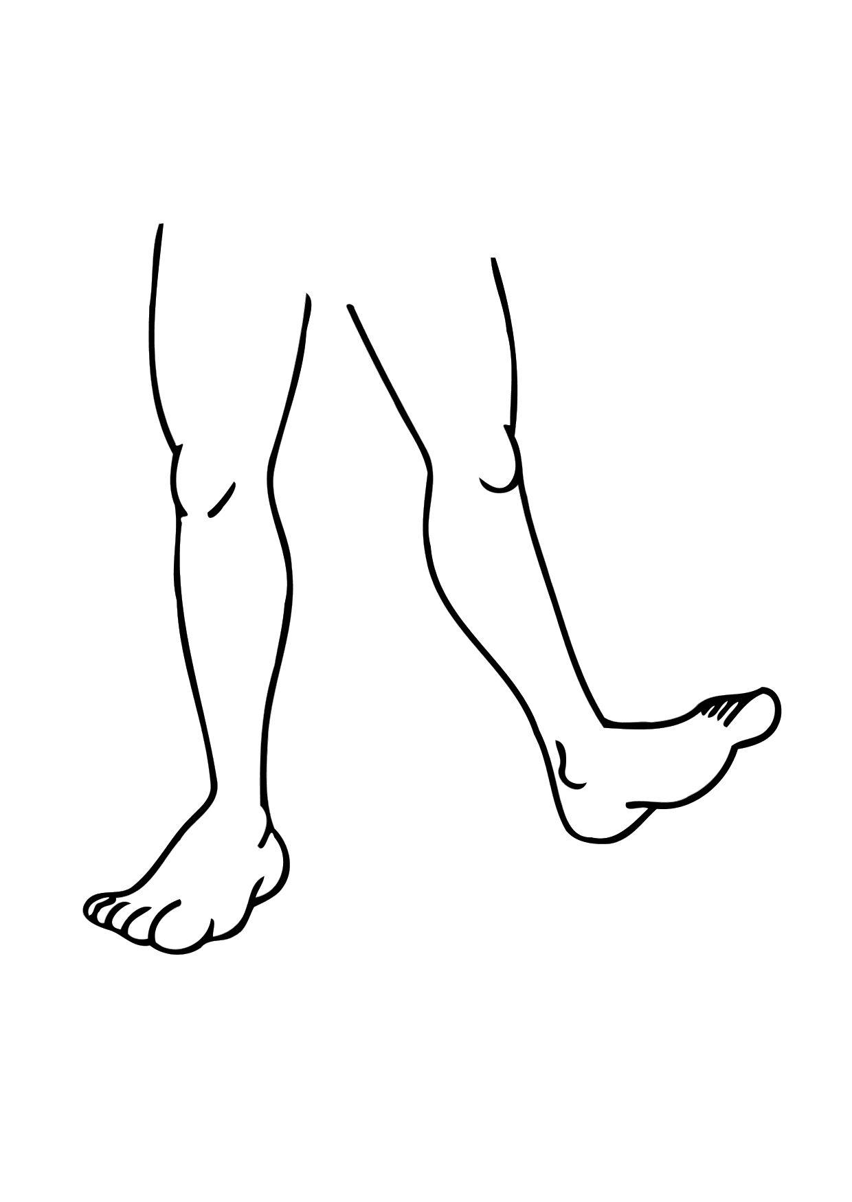 bein Fargeleggingsbilde bein