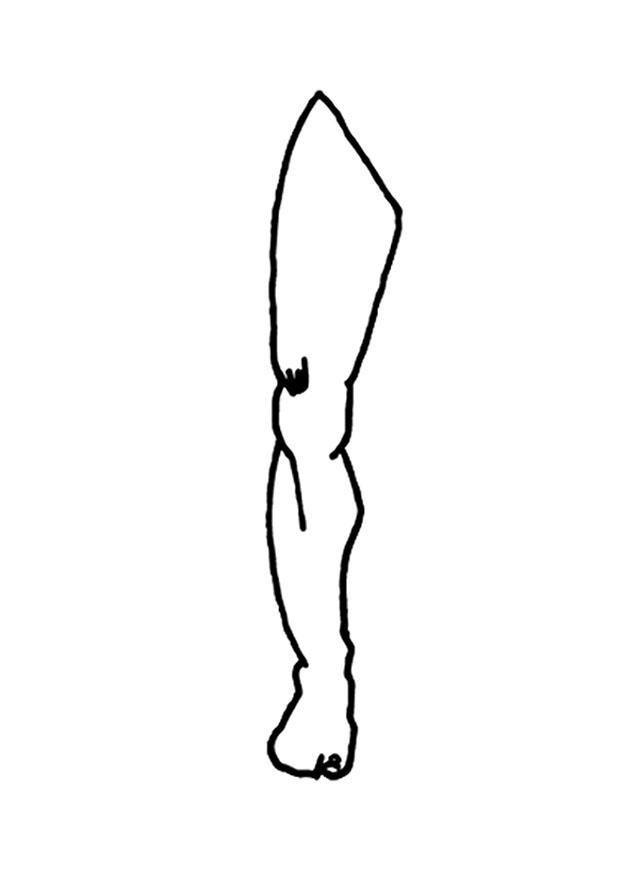 bein Fargeleggingsbilde bein