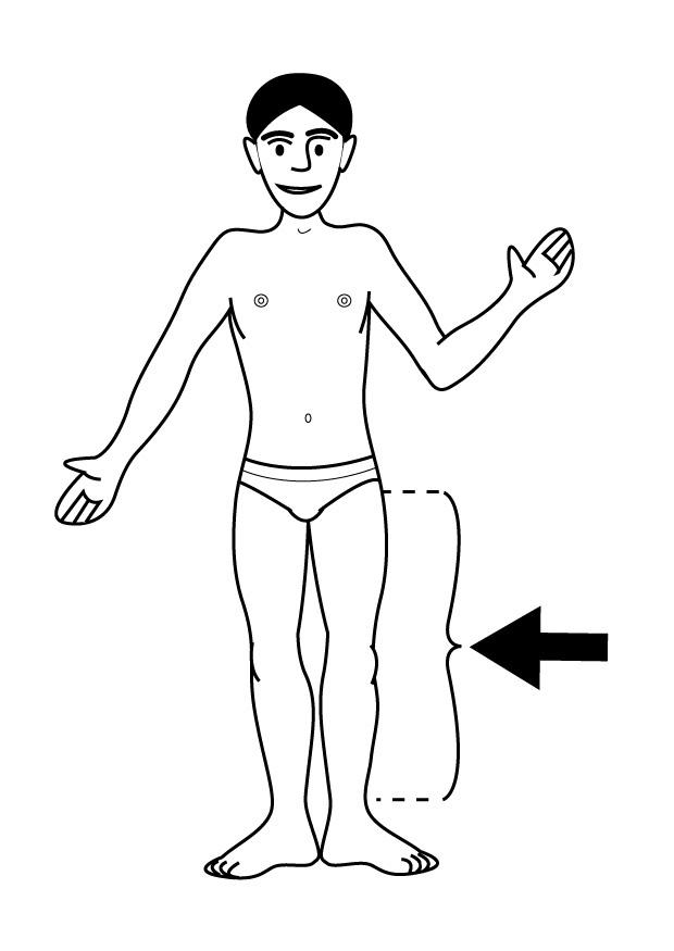 ben Fargeleggingsbilde ben