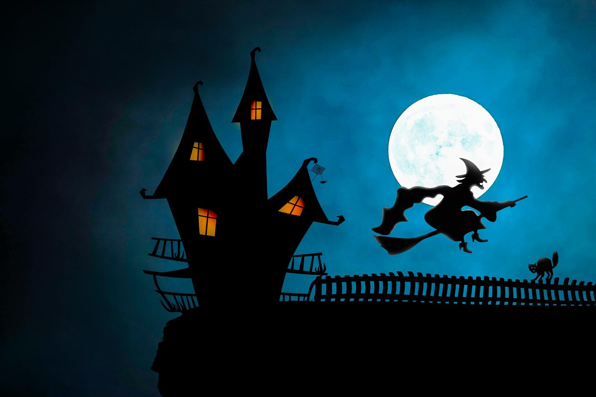 bilde halloween