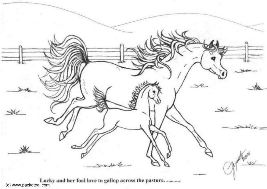 Bilde å fargelegge galopp