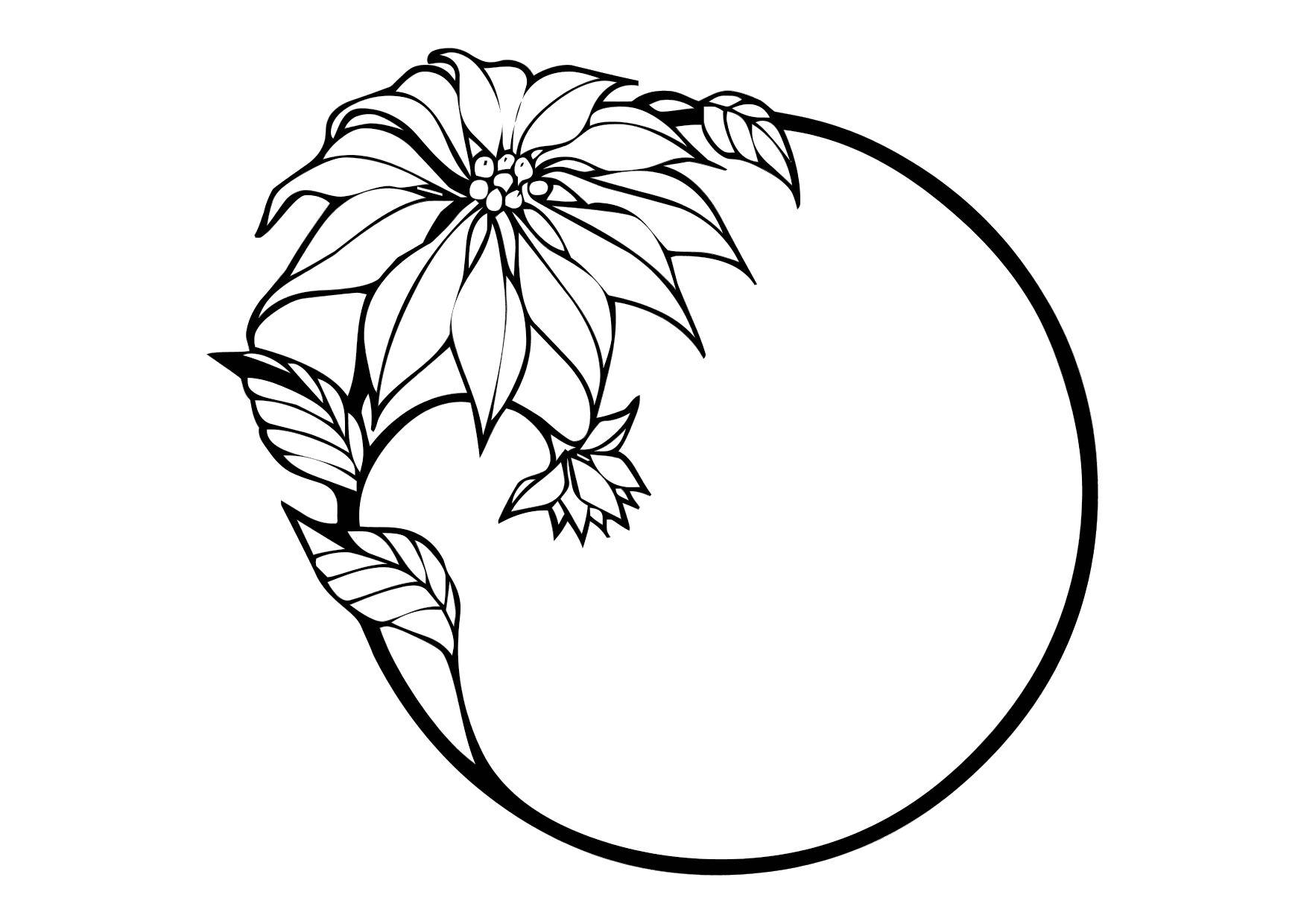 Bilde å fargelegge juleblomst
