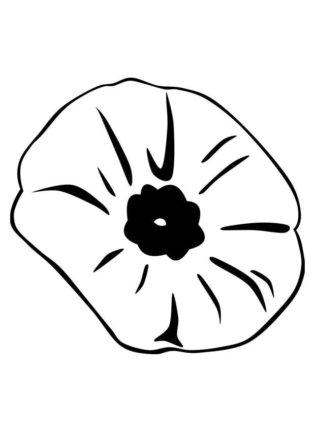 Bilde å fargelegge mA¥neblomst
