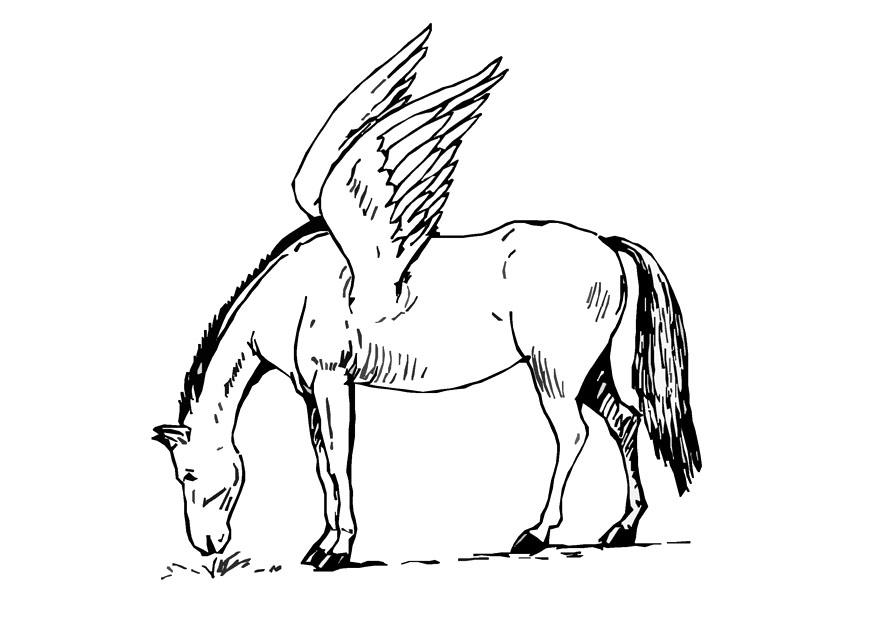 Bilde å fargelegge pegasus