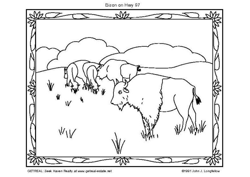 Fargeleggingsbilde bisonokse