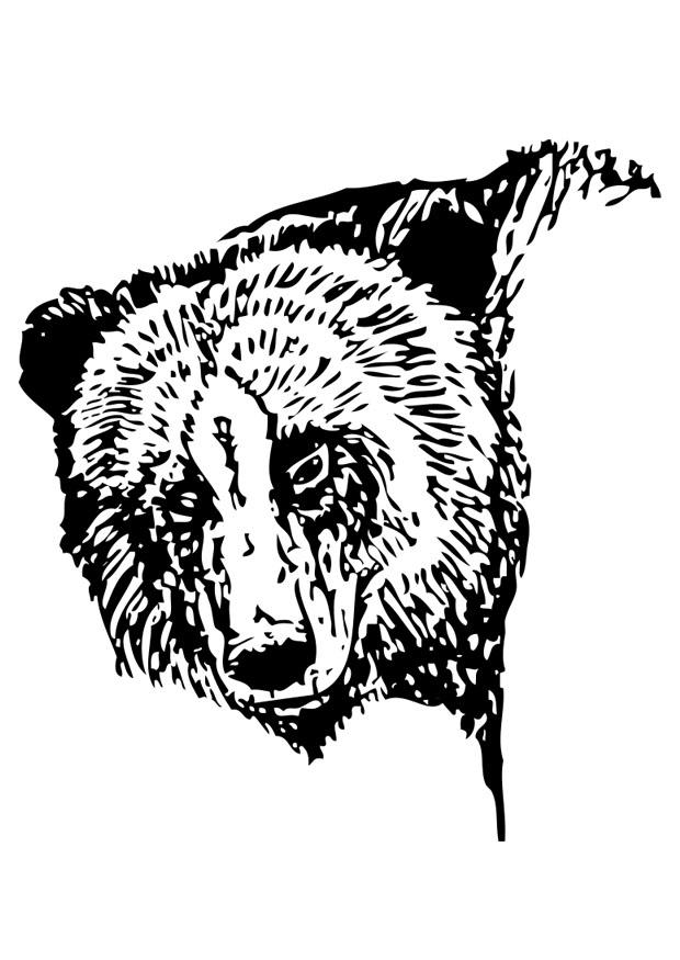 bjA¸rn Fargeleggingsbilde bjA¸rn