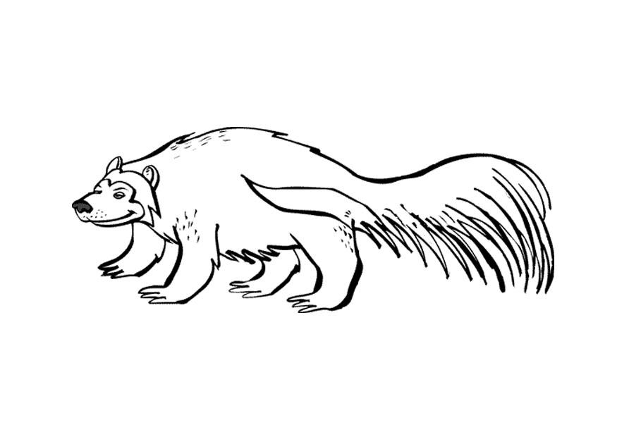 bjA¸rn Fargeleggingsbilde bjA¸rn