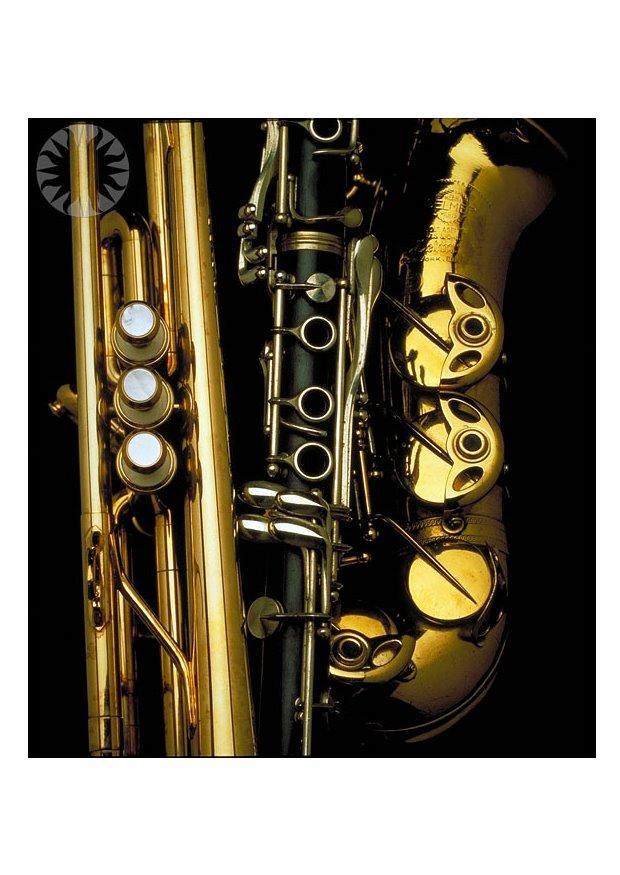 Foto blA¥seinstrument
