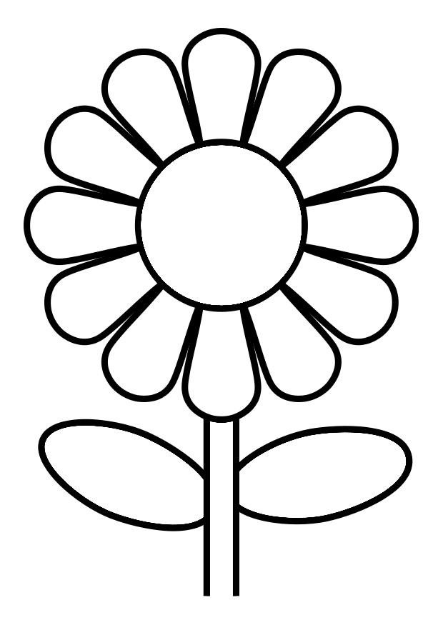 Fargeleggingsbilde blomst