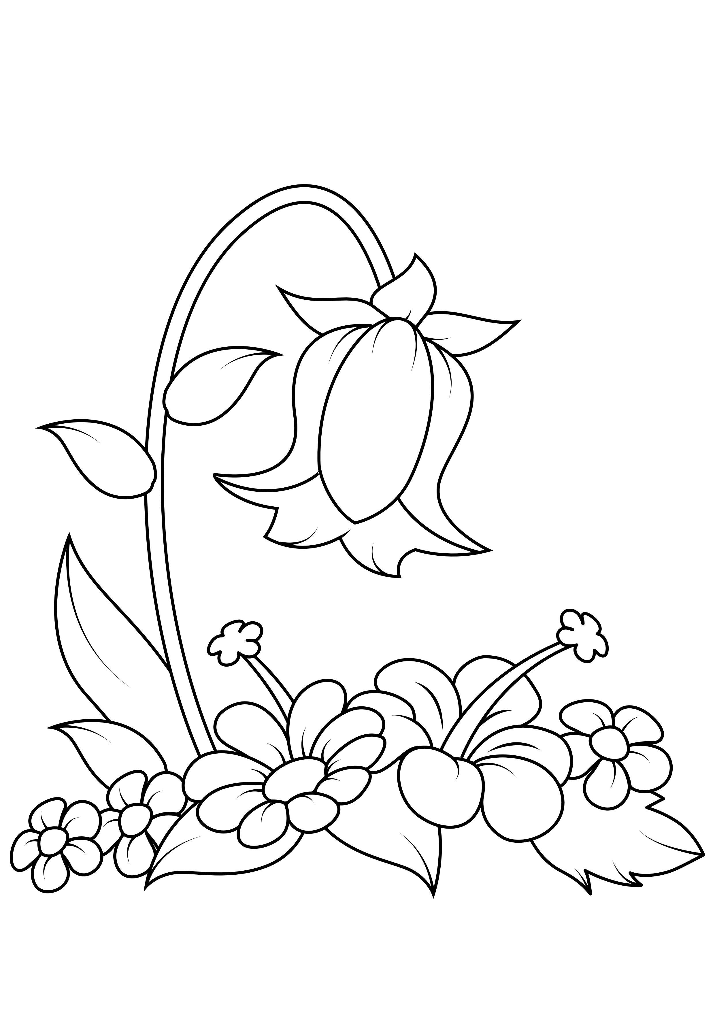 Fargeleggingsbilde blomst