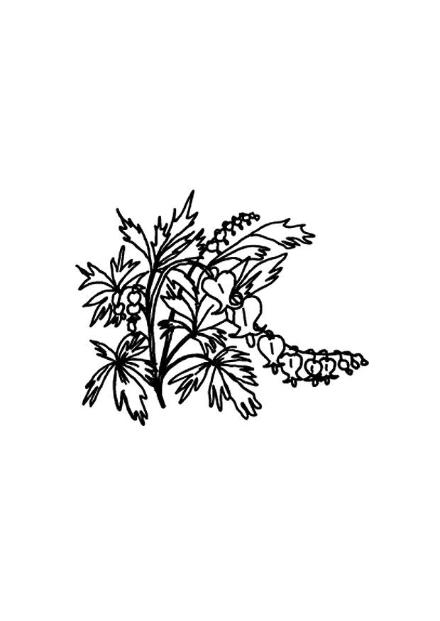 blomster Fargeleggingsbilde blomster