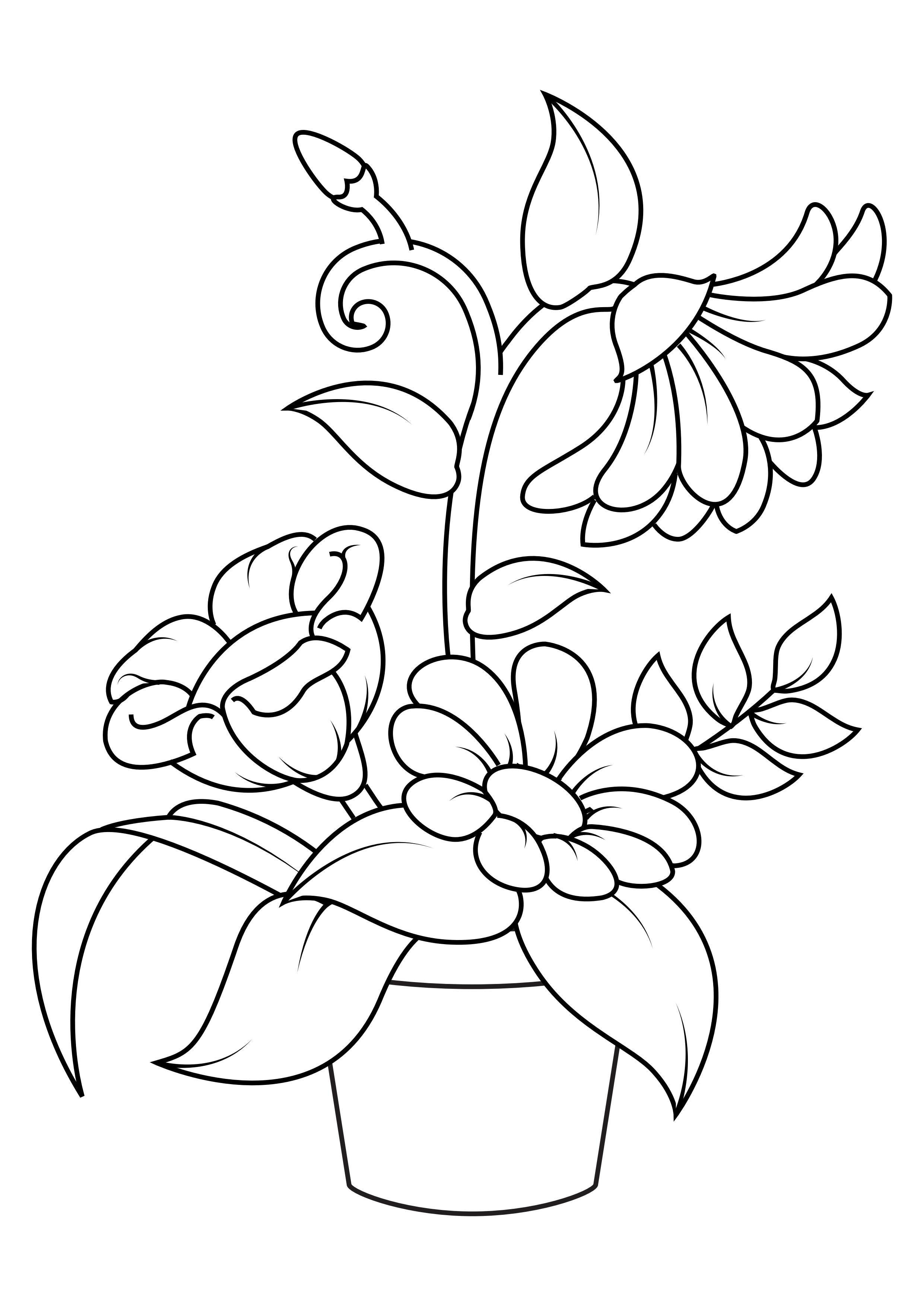 blomster Fargeleggingsbilde blomster