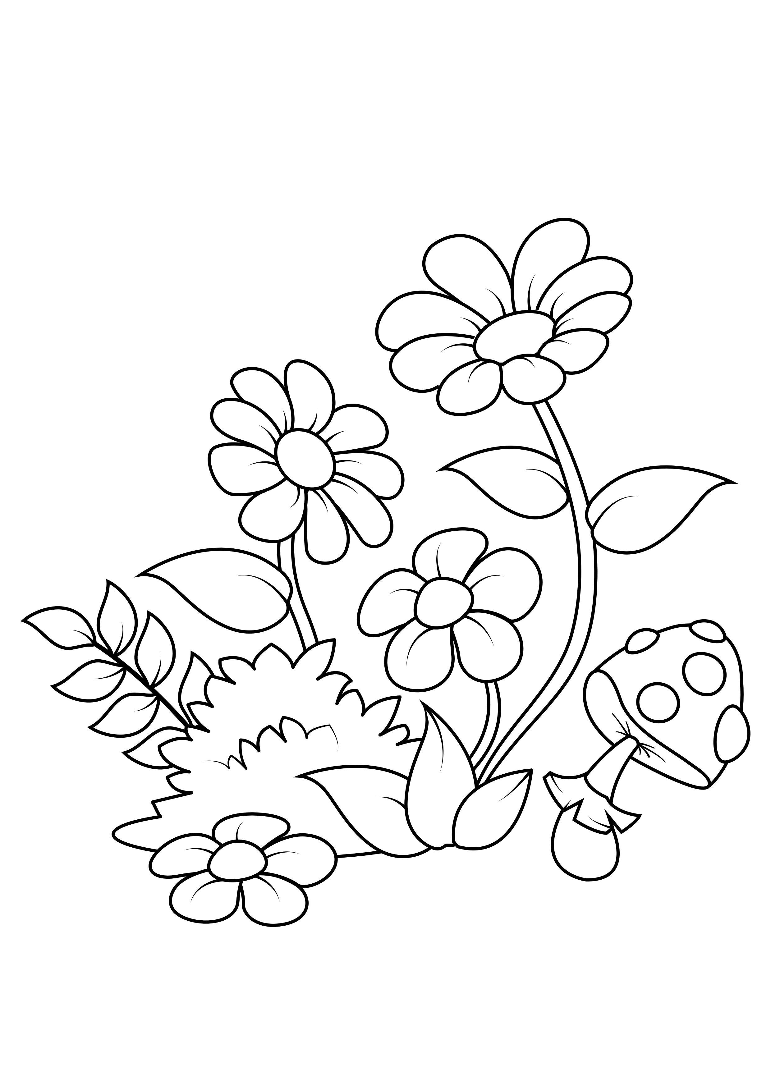 Fargeleggingsbilde blomster i skogen