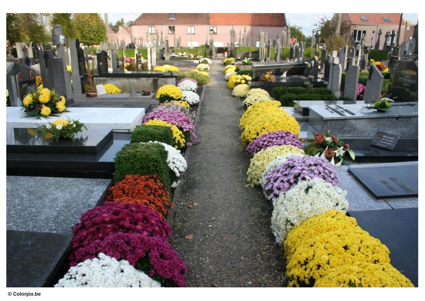Foto blomster pA¥ en kirkegA¥rd