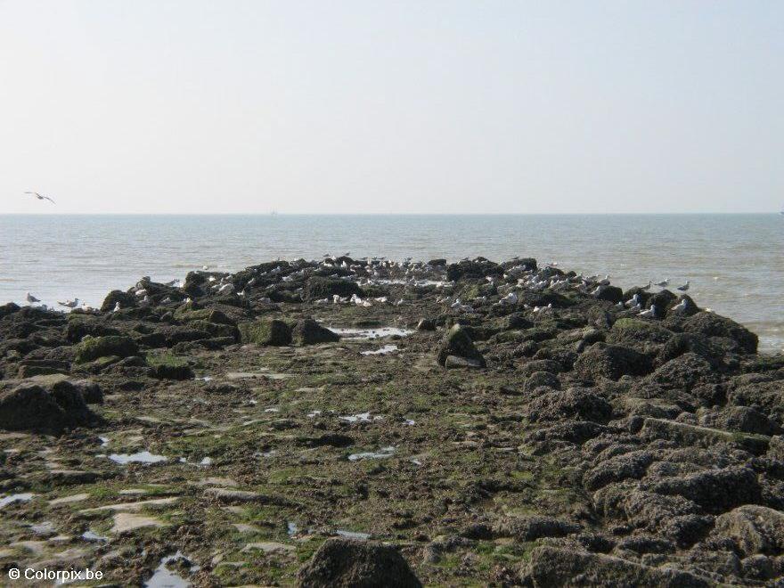 Foto bA¸lgebryter