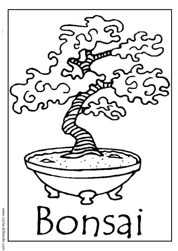 bonsai Fargeleggingsbilde bonsai