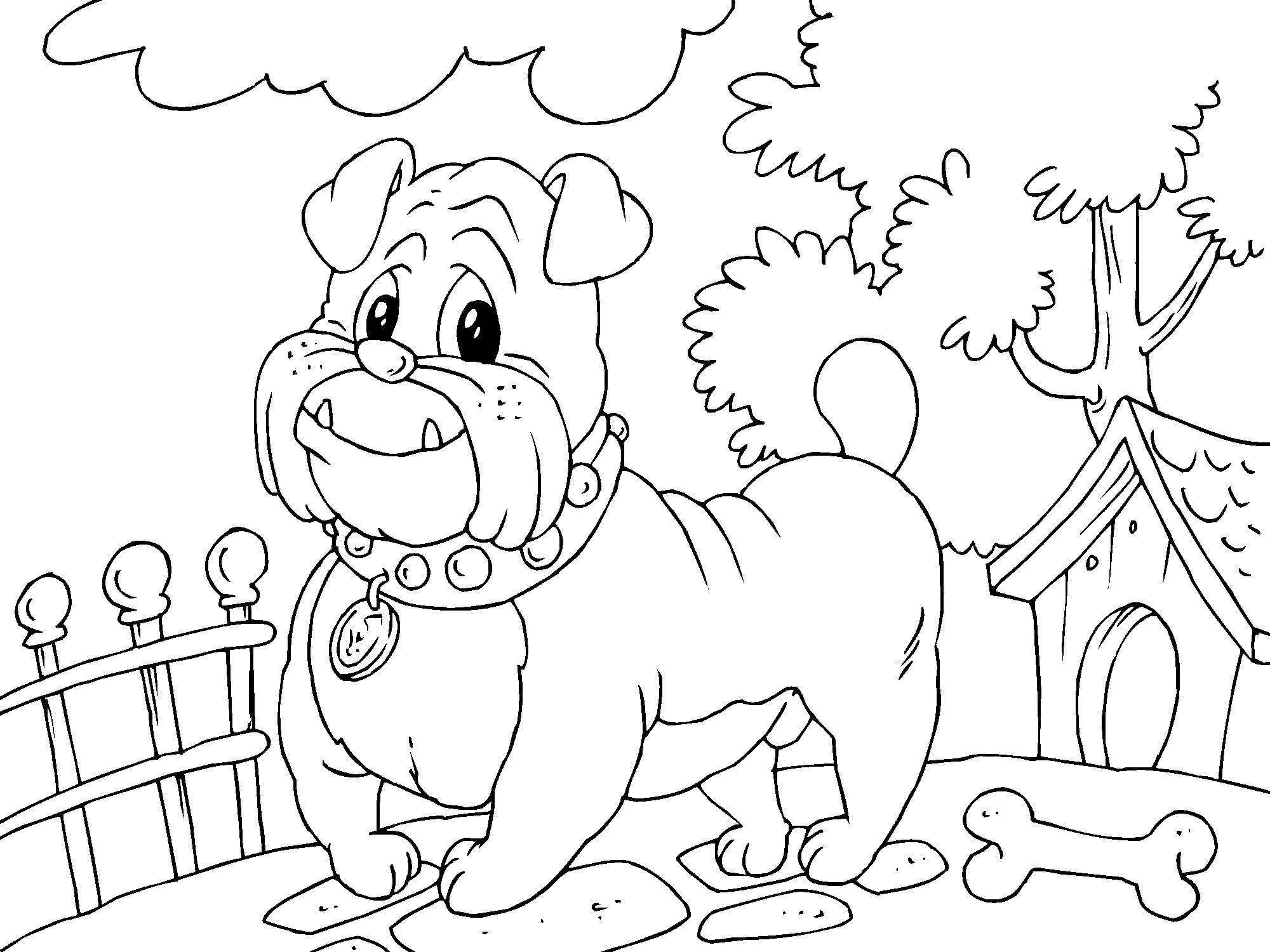 Fargeleggingsbilde bulldog