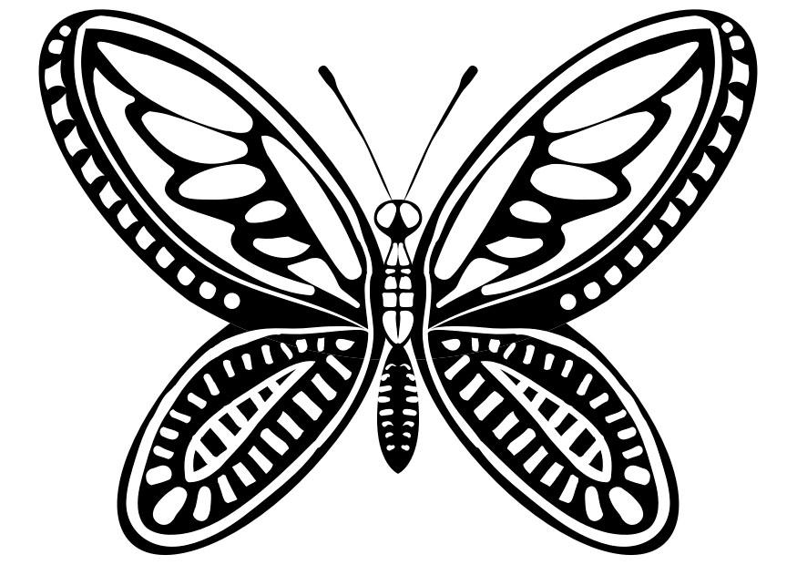 butterfly Fargeleggingsbilde butterfly