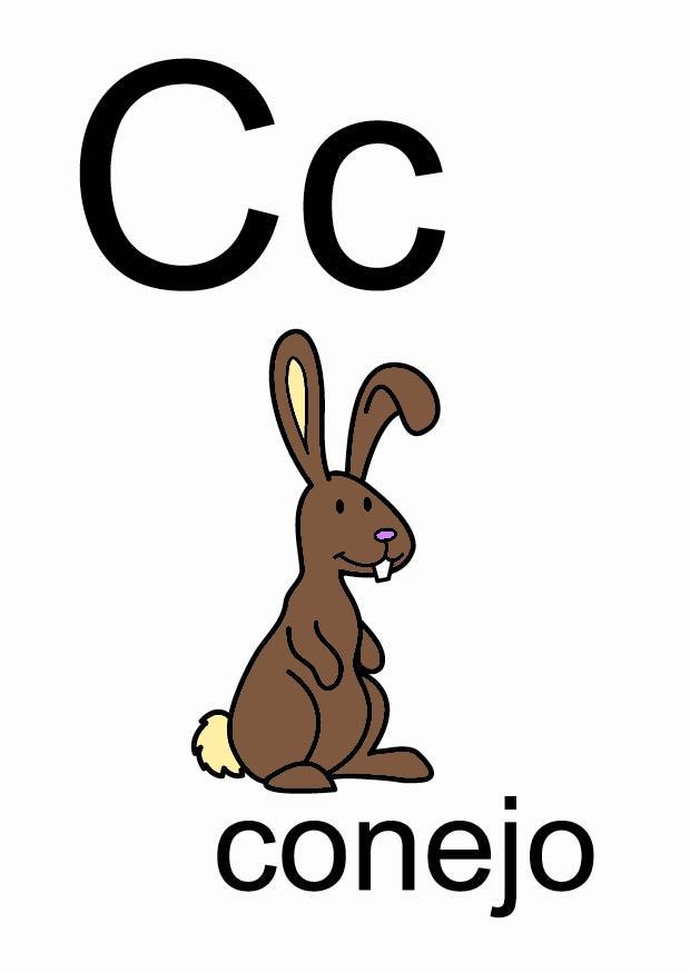 c bilde c