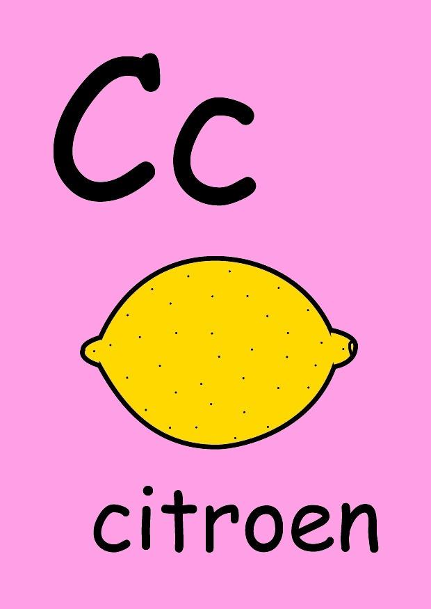 bilde c