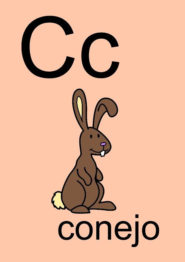 bilde c