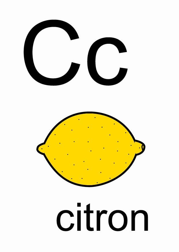 bilde c