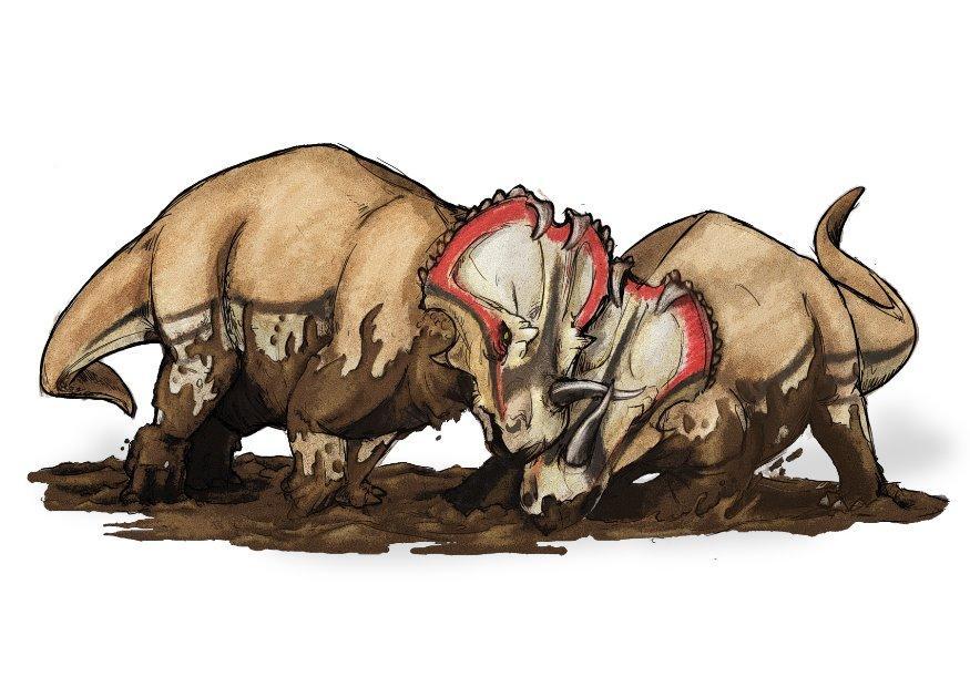 centrosaurus bilde centrosaurus