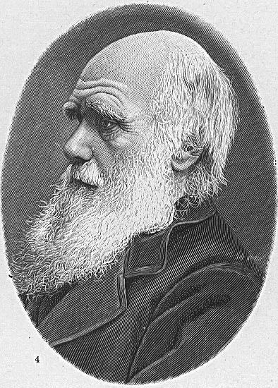 Fargeleggingsbilde charles darwin