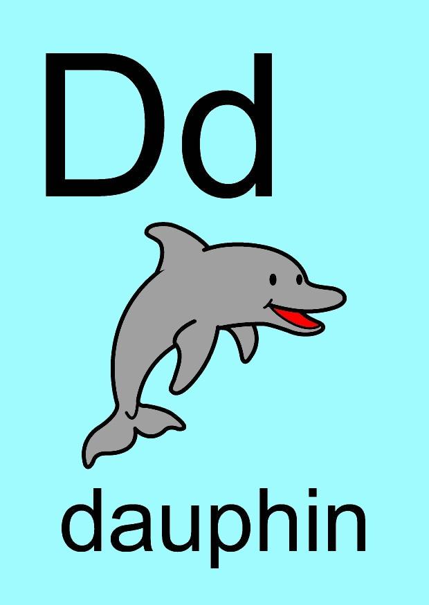 d bilde d