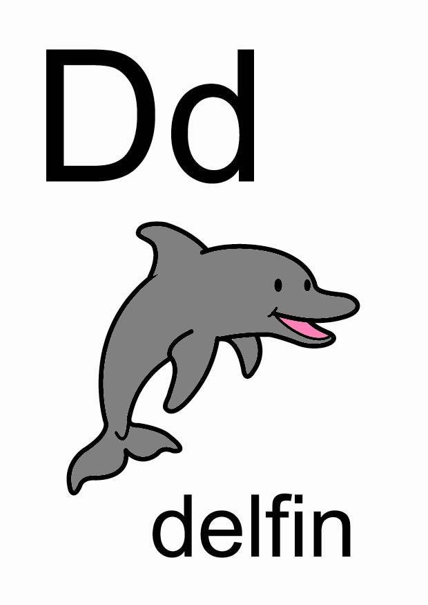 d bilde d