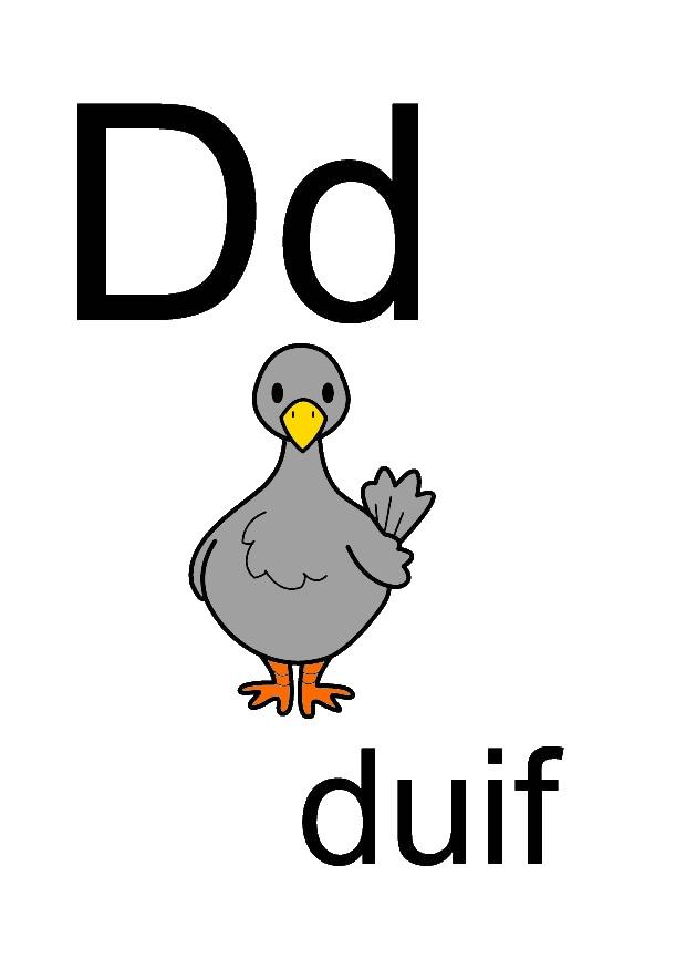 bilde d