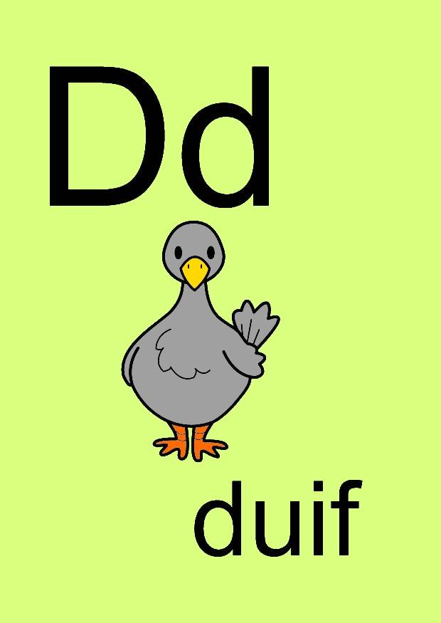 bilde d