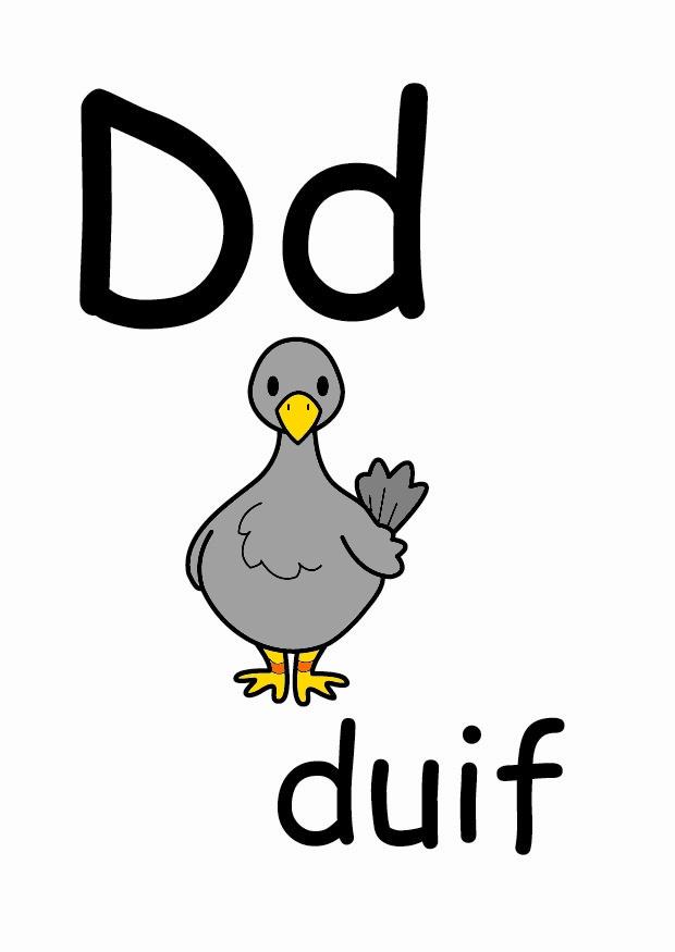 bilde d
