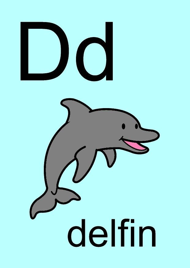 bilde d