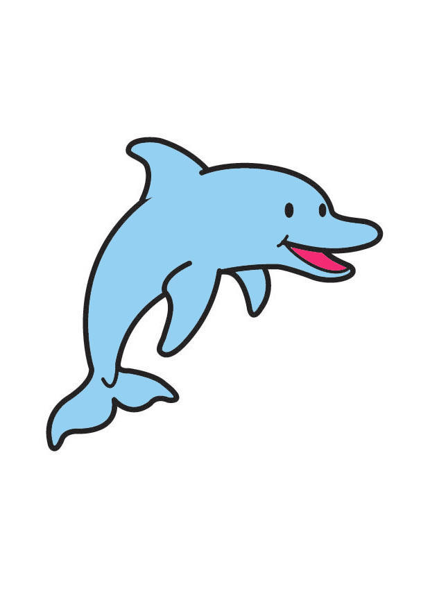 delfin bilde delfin
