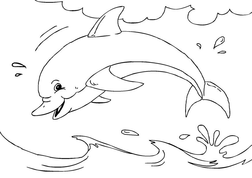 delfin Fargeleggingsbilde delfin