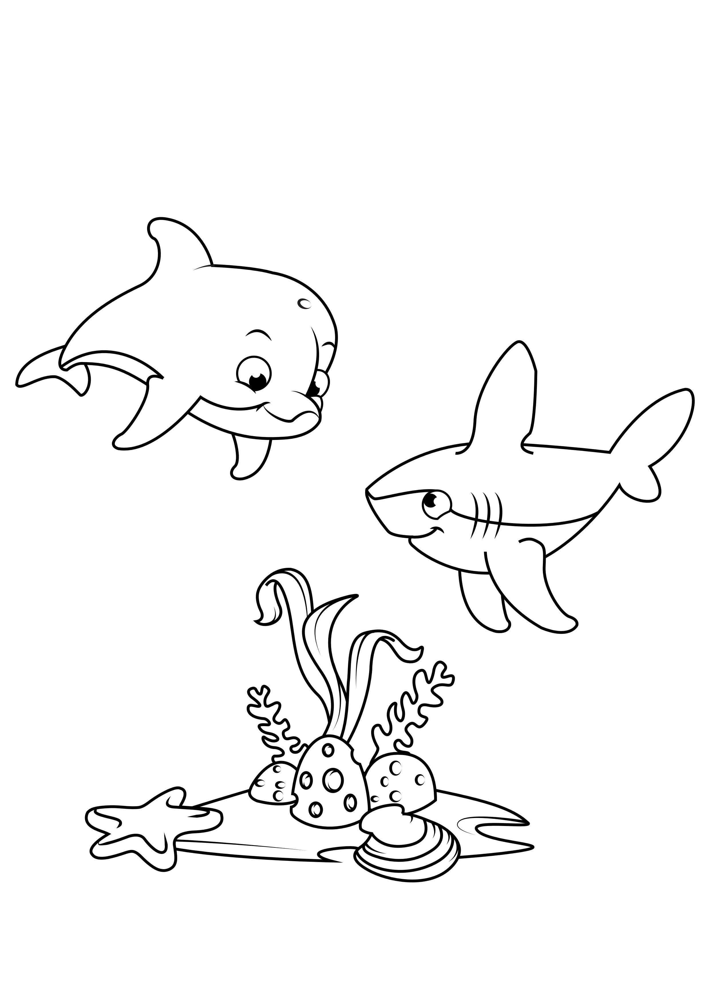 delfin og hai Fargeleggingsbilde delfin og hai