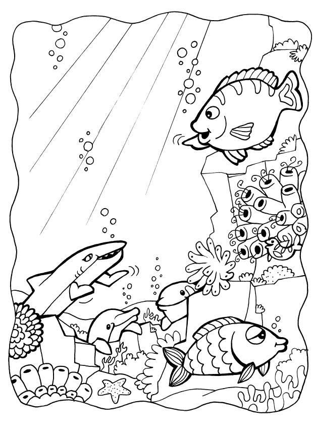 delfiner og fisk Fargeleggingsbilde delfiner og fisk