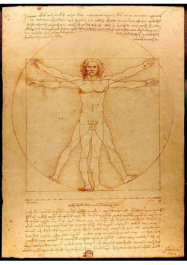 bilde den vitruvianske mannen av leonardo da vinci