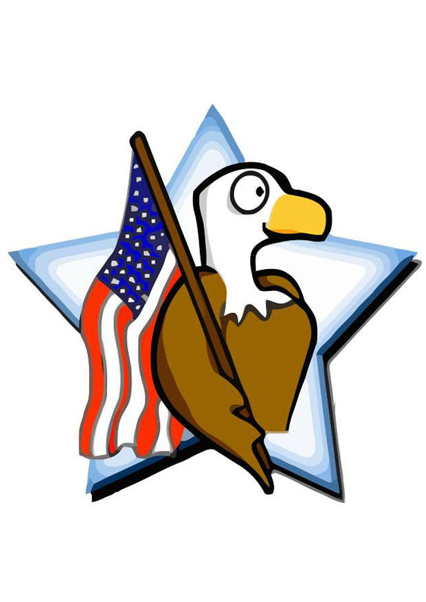 bilde det amerikanske flagget