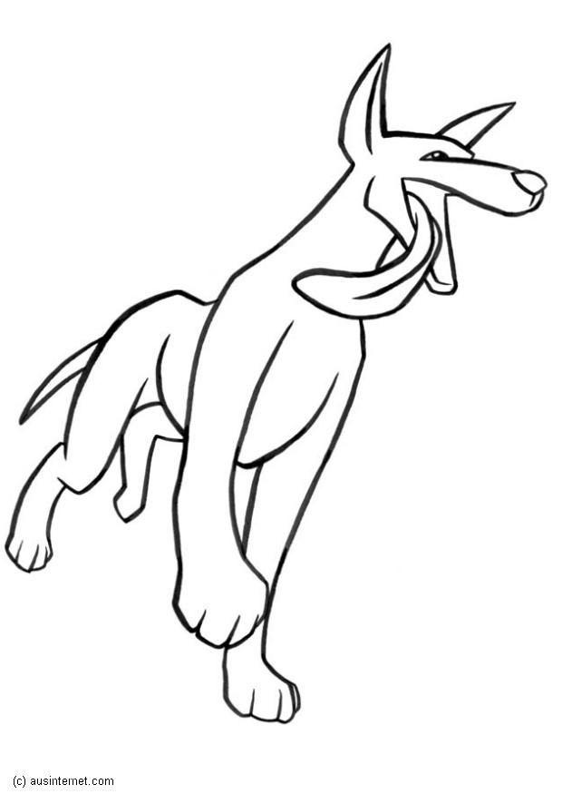 Fargeleggingsbilde dingo