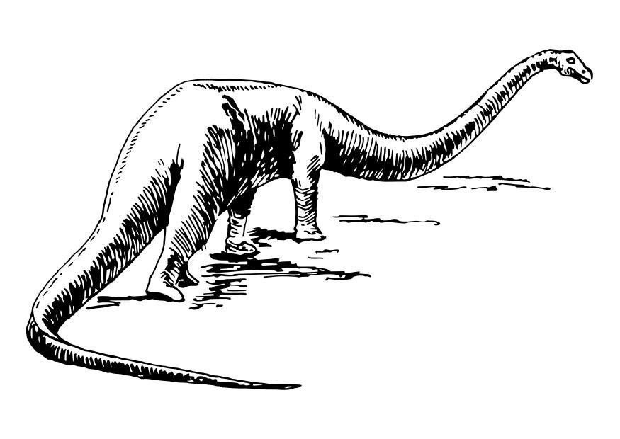 dinosaur Fargeleggingsbilde dinosaur