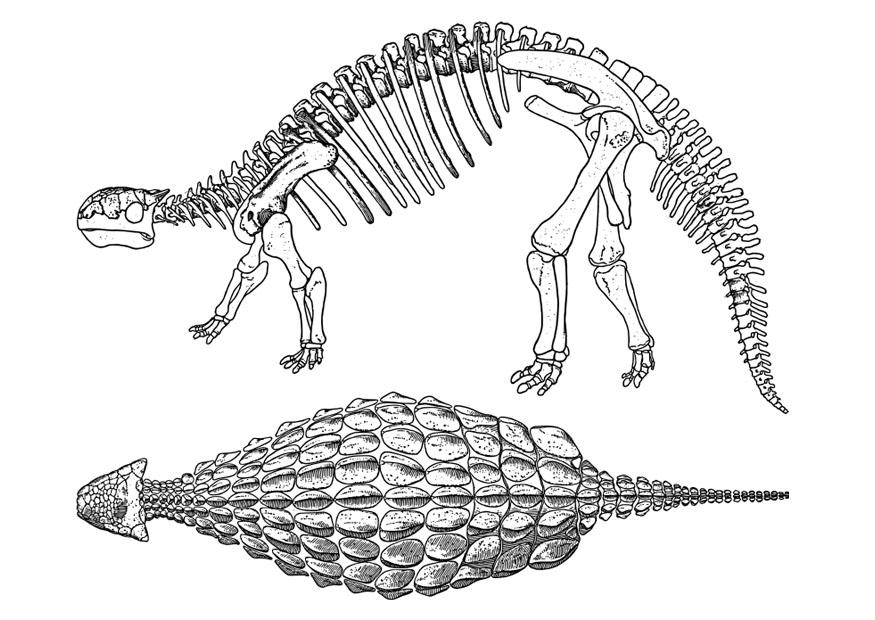 dinosaur - ankylosaurus Fargeleggingsbilde dinosaur - ankylosaurus