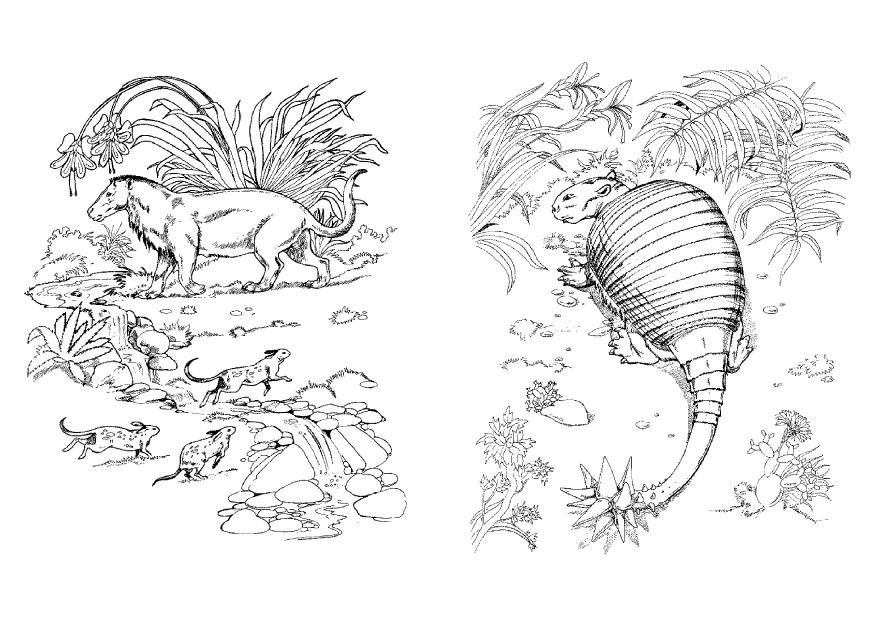 dinosaur og rovdyr Fargeleggingsbilde dinosaur og rovdyr