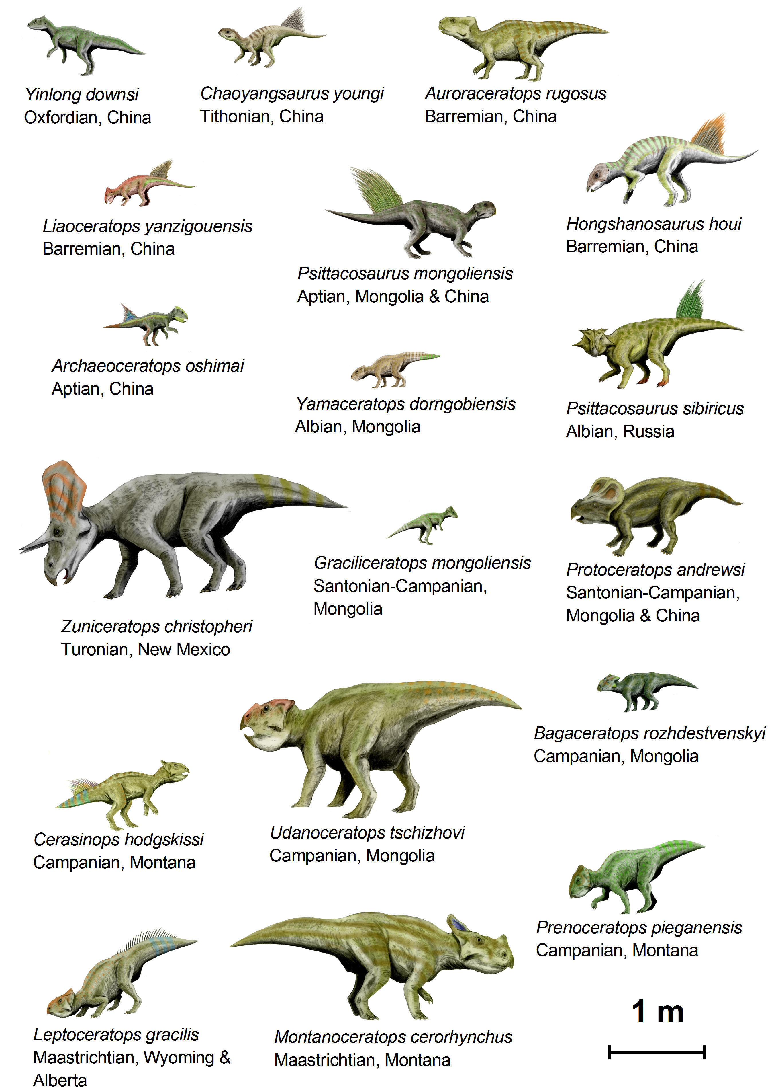 dinosaurer (basal ceratopsia) bilde dinosaurer (basal ceratopsia)