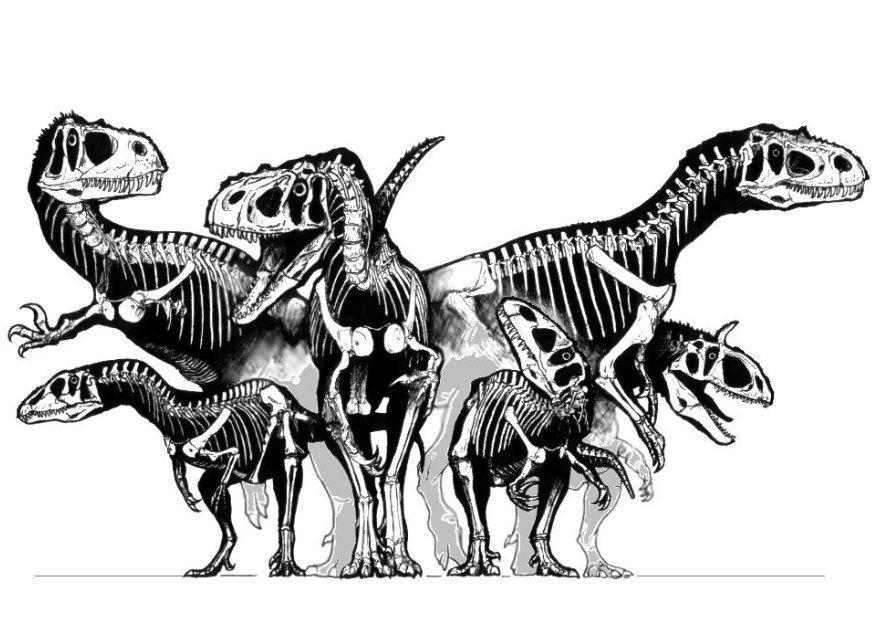 dinosaurer i en gruppe - skjelett Fargeleggingsbilde dinosaurer i en gruppe - skjelett