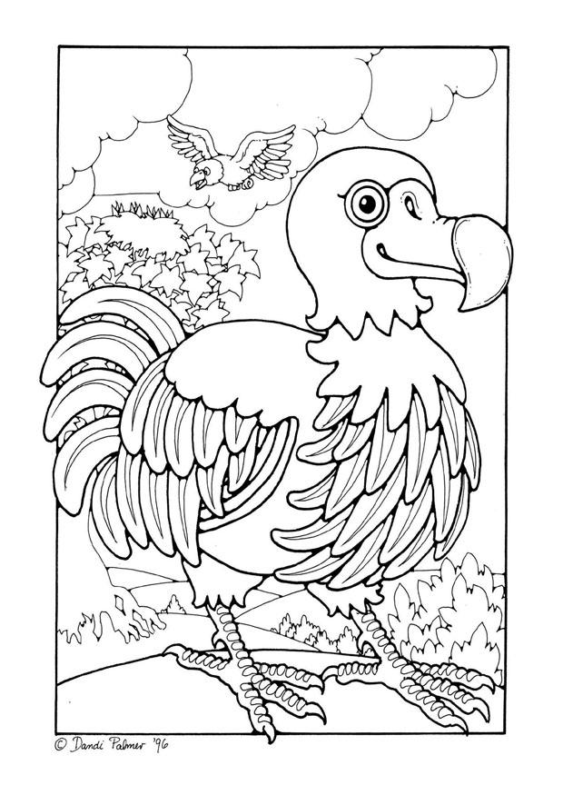 dodo Fargeleggingsbilde dodo