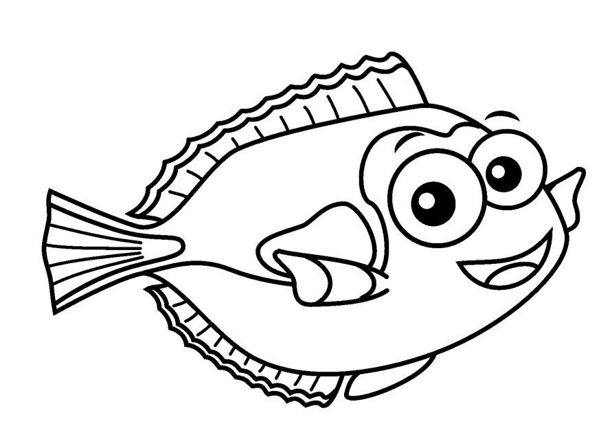 Fargeleggingsbilde doktorfisk